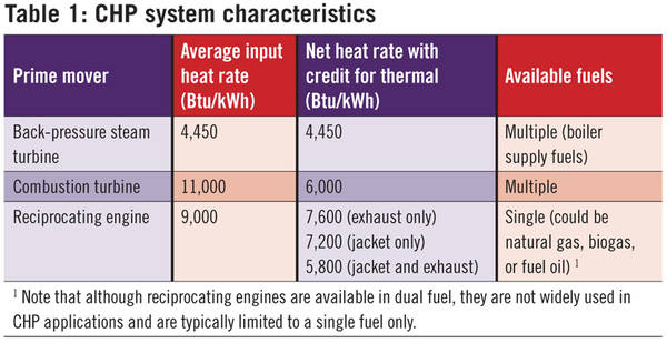 RTEmagicC_CSE1506_MAG_PP_FCOGEN_Table1